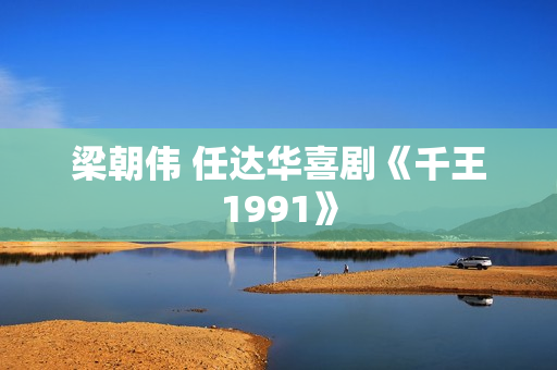 梁朝伟 任达华喜剧《千王1991》