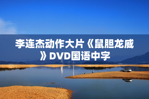 李连杰动作大片《鼠胆龙威》DVD国语中字