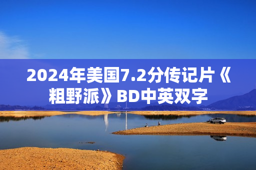 2024年美国7.2分传记片《粗野派》BD中英双字