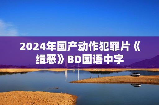 2024年国产动作犯罪片《缉恶》BD国语中字