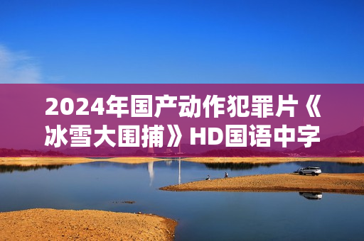 2024年国产动作犯罪片《冰雪大围捕》HD国语中字