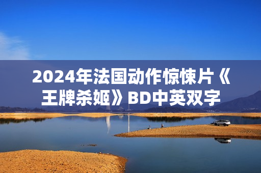 2024年法国动作惊悚片《王牌杀姬》BD中英双字