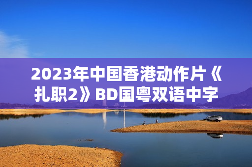 2023年中国香港动作片《扎职2》BD国粤双语中字