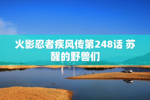 火影忍者疾风传第248话 苏醒的野兽们