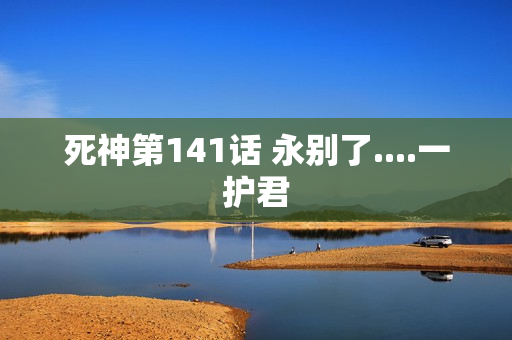死神第141话 永别了....一护君