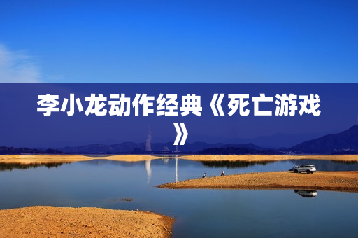 李小龙动作经典《死亡游戏》