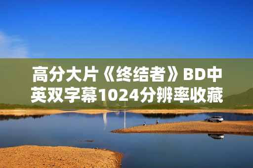 高分大片《终结者》BD中英双字幕1024分辨率收藏版
