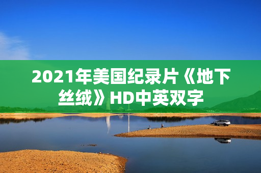 2021年美国纪录片《地下丝绒》HD中英双字