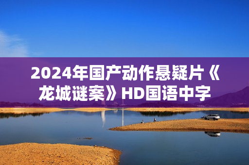 2024年国产动作悬疑片《龙城谜案》HD国语中字