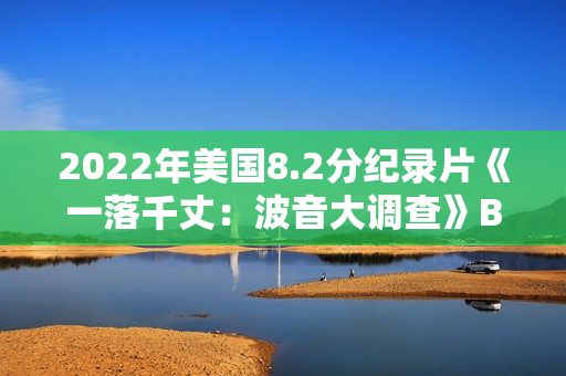 2022年美国8.2分纪录片《一落千丈：波音大调查》BD中英双字