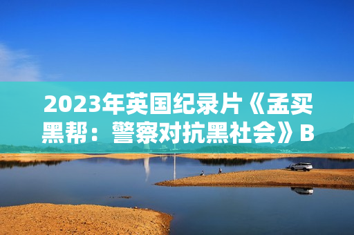 2023年英国纪录片《孟买黑帮：警察对抗黑社会》BD英语中字