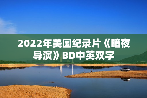 2022年美国纪录片《暗夜导演》BD中英双字