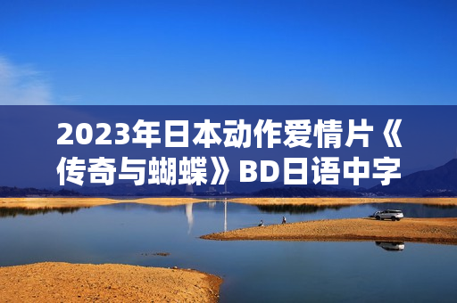 2023年日本动作爱情片《传奇与蝴蝶》BD日语中字
