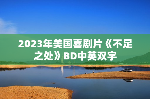 2023年美国喜剧片《不足之处》BD中英双字