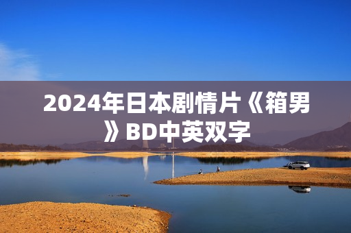 2024年日本剧情片《箱男》BD中英双字