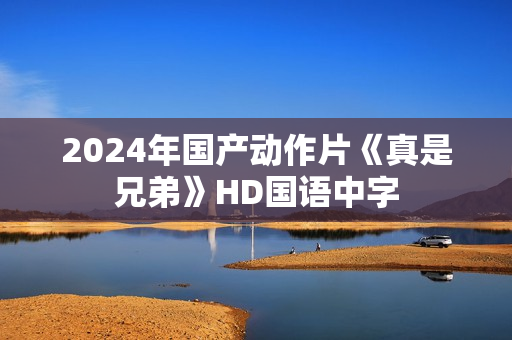 2024年国产动作片《真是兄弟》HD国语中字