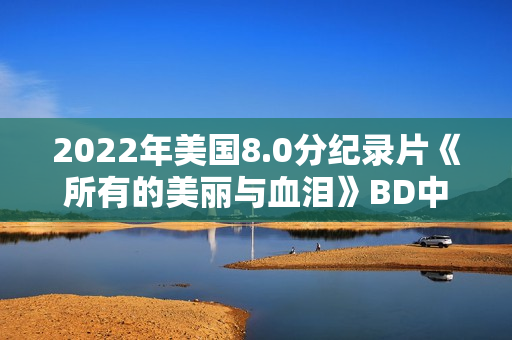 2022年美国8.0分纪录片《所有的美丽与血泪》BD中英双字