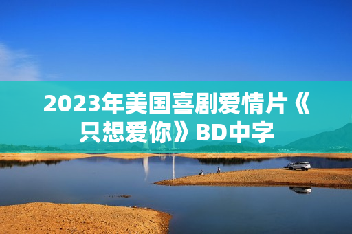 2023年美国喜剧爱情片《只想爱你》BD中字