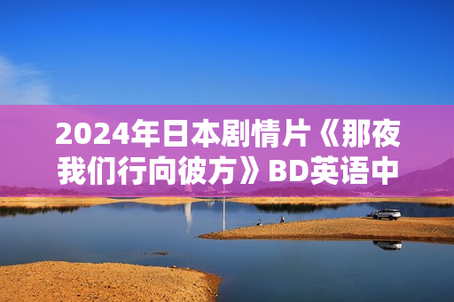 2024年日本剧情片《那夜我们行向彼方》BD英语中字