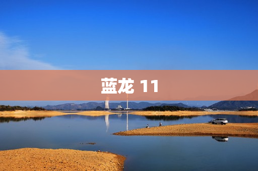 蓝龙 11