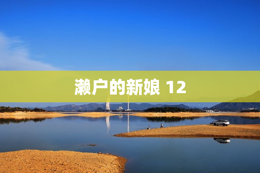 濑户的新娘 12