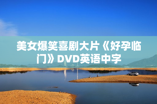 美女爆笑喜剧大片《好孕临门》DVD英语中字