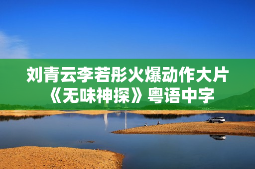 刘青云李若彤火爆动作大片《无味神探》粤语中字