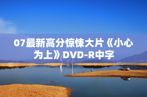 07最新高分惊悚大片《小心为上》DVD-R中字