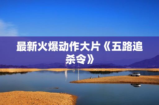 最新火爆动作大片《五路追杀令》