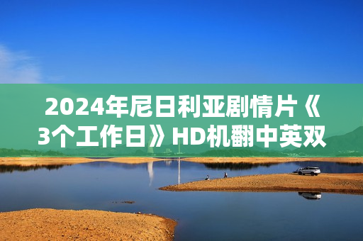 2024年尼日利亚剧情片《3个工作日》HD机翻中英双字
