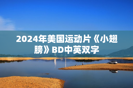 2024年美国运动片《小翅膀》BD中英双字