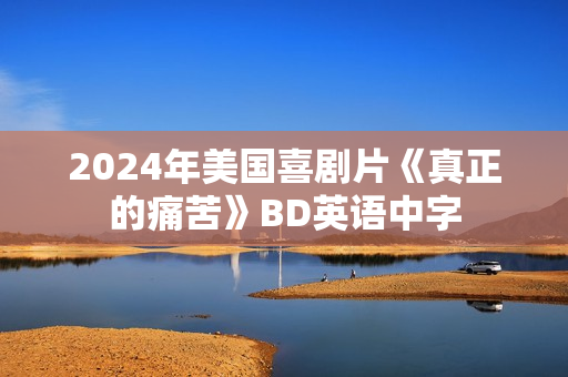 2024年美国喜剧片《真正的痛苦》BD英语中字