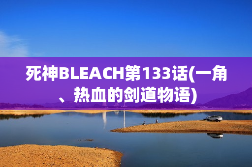 死神BLEACH第133话(一角、热血的剑道物语)