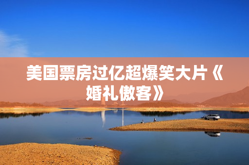美国票房过亿超爆笑大片《婚礼傲客》