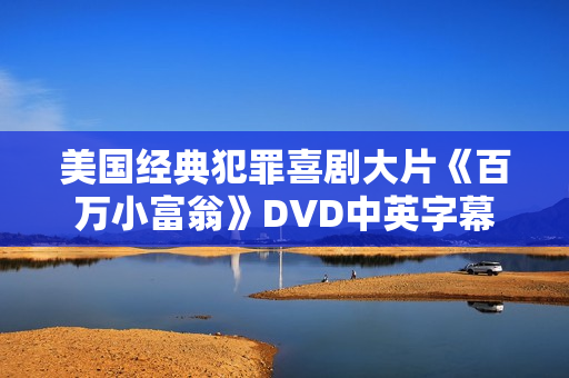 美国经典犯罪喜剧大片《百万小富翁》DVD中英字幕