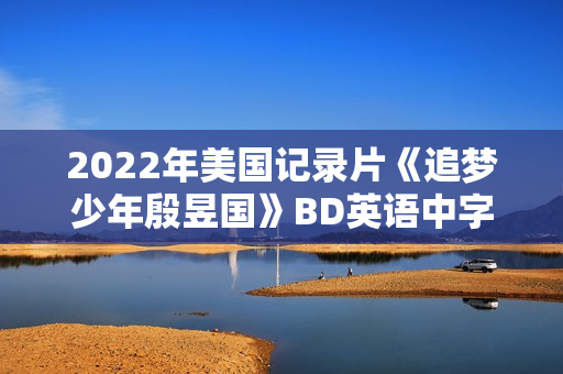 2022年美国记录片《追梦少年殷昱国》BD英语中字