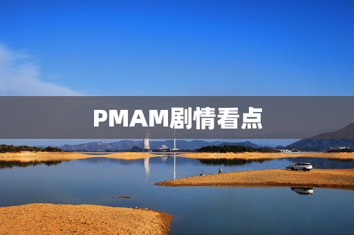 PMAM剧情看点