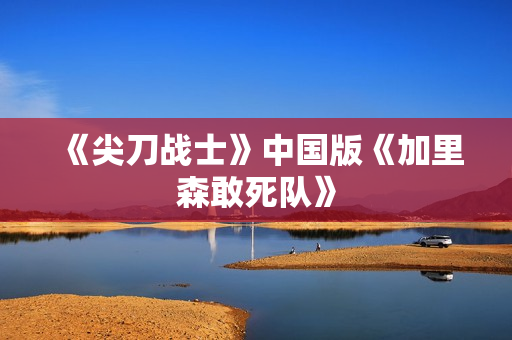 《尖刀战士》中国版《加里森敢死队》