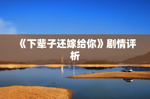 《下辈子还嫁给你》剧情评析