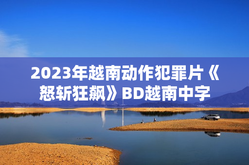 2023年越南动作犯罪片《怒斩狂飙》BD越南中字