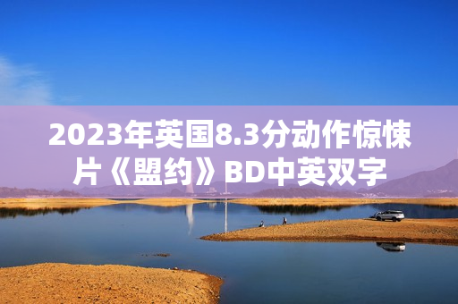 2023年英国8.3分动作惊悚片《盟约》BD中英双字 2023年英国8.3分动作惊悚片《盟约》BD中英双字