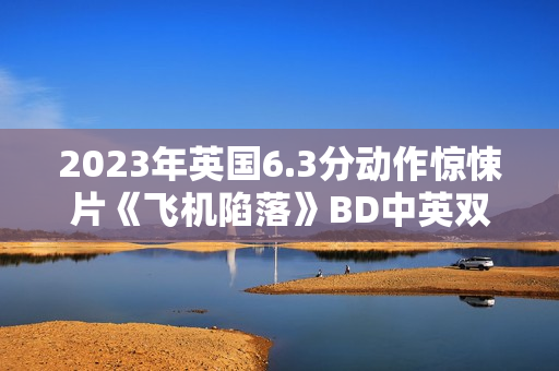 2023年英国6.3分动作惊悚片《飞机陷落》BD中英双字