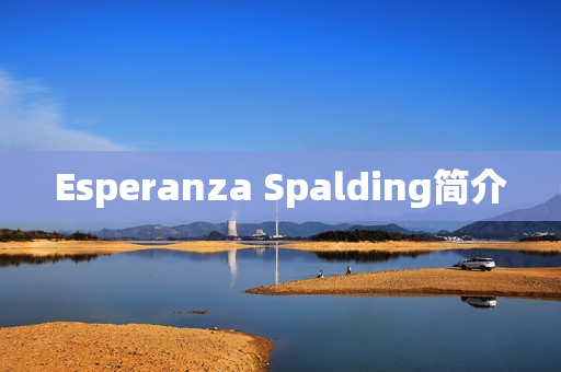 Esperanza Spalding简介