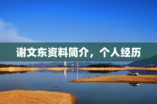 谢文东资料简介，个人经历