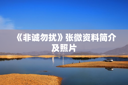 《非诚勿扰》张微资料简介及照片