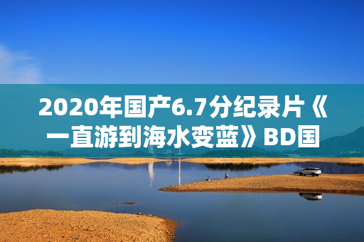 2020年国产6.7分纪录片《一直游到海水变蓝》BD国语中字 2020年国产6.7分纪录片《一直游到海水变蓝》BD国语中字