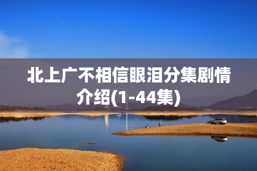 北上广不相信眼泪分集剧情介绍(1-44集) 北上广不相信眼泪分集剧情介绍(1-44集)