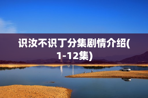 识汝不识丁分集剧情介绍(1-12集)