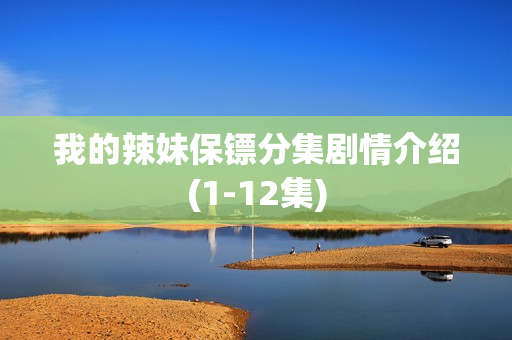 我的辣妹保镖分集剧情介绍(1-12集)