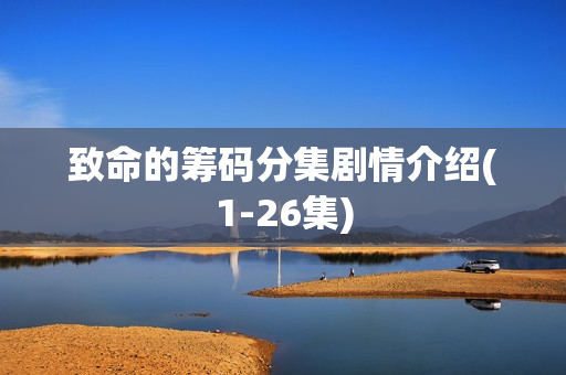 致命的筹码分集剧情介绍(1-26集)